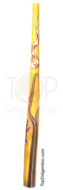 Medium Natural Teak Didgeridoo Dot Painted Snake, Turtle & Plant (01019)