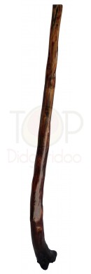 Long Wattle Didgeridoo Trunk Bell (07007)